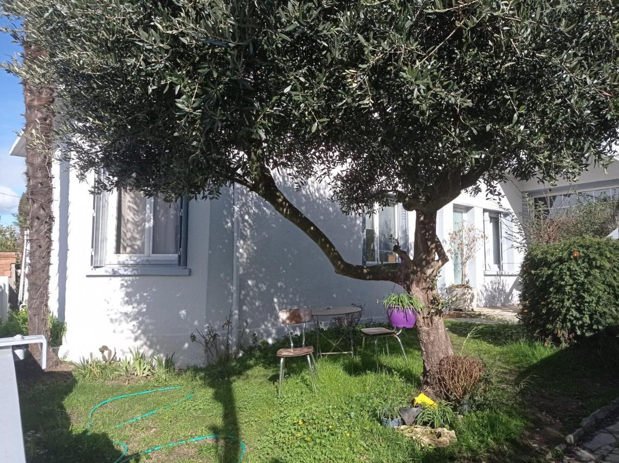 Chambre Meublee Independante, Avec Piscine Et Jardin, 1 Lit Pour 2 Personnes Direct Gare Aeroport Toulouse Bagian luar foto